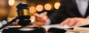 Juridische specialist beoordeelt contracten en documenten voor paard en recht in de hippische sector